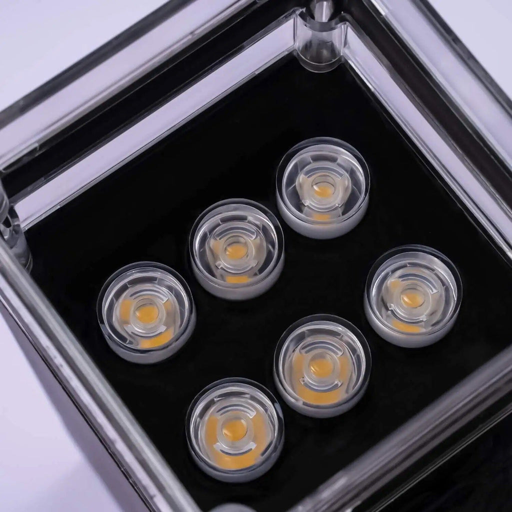 LumaNova Wall Light Modern Indoor And Outdoor Fixture