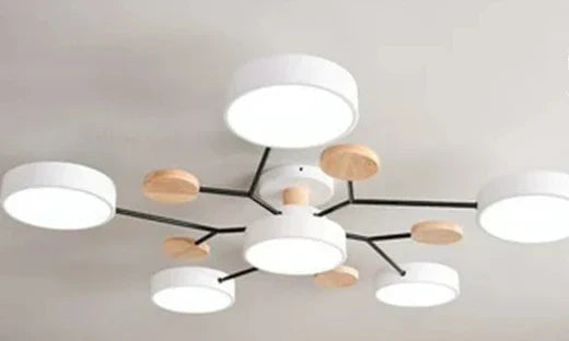 Lumenova Contemporary Ceiling Light With Slim LED Profile