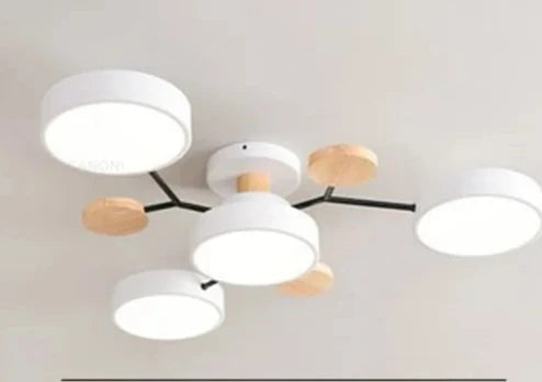 Lumenova Contemporary Ceiling Light With Slim LED Profile