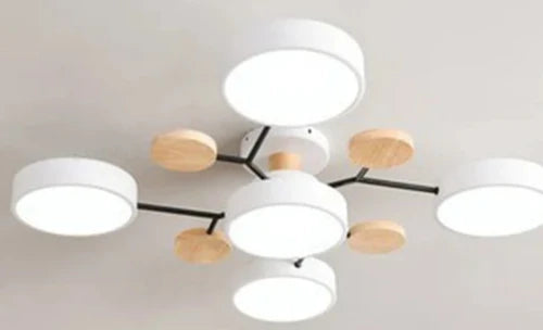 Lumenova Contemporary Ceiling Light With Slim LED Profile