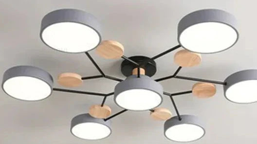 Lumenova Contemporary Ceiling Light With Slim LED Profile