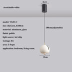 AstraLume Adjustable Angle LED Pendant Light Dimmable