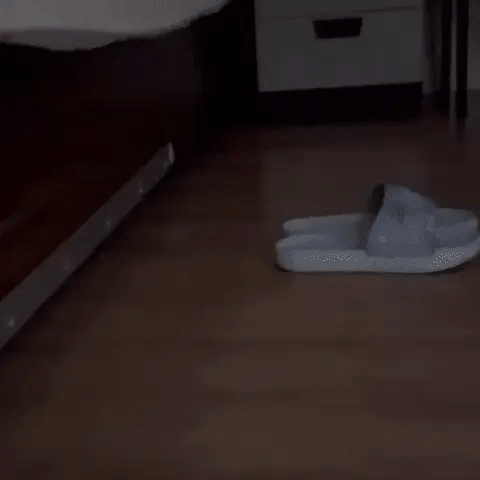 NovaGlow Wireless LED Light With Motion Sensor Lamp